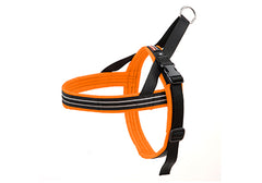 ComfortFlex Sport Harness Berry