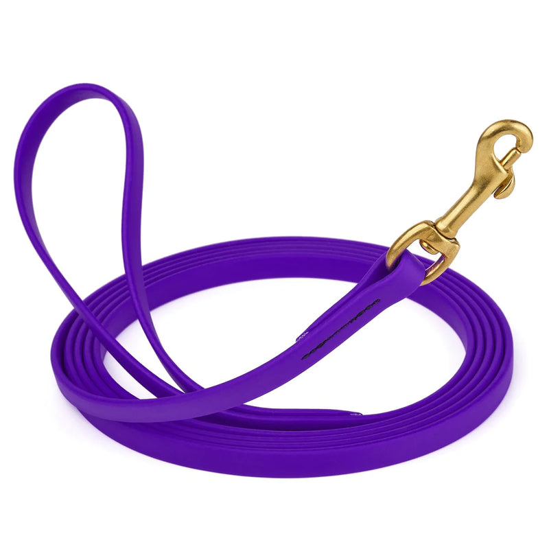 Viper Biothane 10' Lead Purple